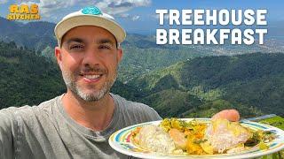 Treehouse Breakfast Review in the Mystical Blue Mountains!