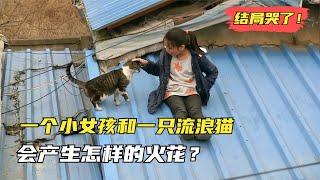 一个十岁小女孩和一只受伤的流浪猫，会产生怎样的火花？结局哭了