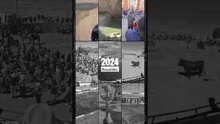 Recuerdos del 2024... Fue un maravilloso año pero se acabó .... #viajes #turismolapampa #turismo