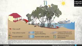 Natural Capital & Ecosystem Services