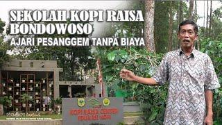 Sekolah Kopi Raisa Bondowoso | 90 Persen Kopinya Berasal Dari Hutan