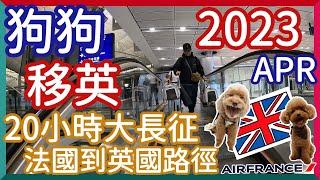 【Deslife@UK Living in the UK】Pet Immigration Journey Full Record of the Route from France to the UK.