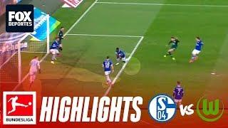 Schalke 2-1 Wolfsburg | HIGHLIGHTS | Jornada 18 | Bundesliga