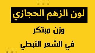 لون الزهم الحجازي وزن مبتكر في الشعر النبطي