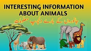 Interesting Information About Animals Part 1 | Animals Interesting Information | HAMID ACADEMEY |