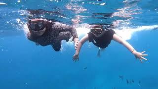 best diving spot in Nusa lembongan | Serunya menyelam di Bali