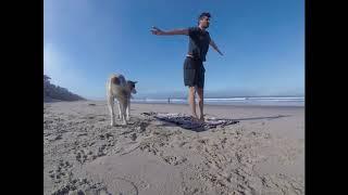 Ventura Beach morning yoga class