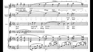 Hab mir's gelobt (Der Rosenkavalier - R. Strauss) Score Animation