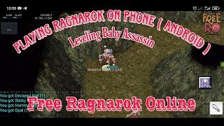 Ragnarok Private Server Playing on Mobile!! Test Leveling Baby Assassin, Free Ragnarok Online