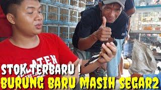 ASAL JUAL YG PENTING CEPAT LAKU DAN ADA YG SPESIAL TURUN HARGA !