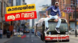 Canada Bus Service | കാനഡയിലെ ആനവണ്ടി | TTC | lets go with Alex | ALEX BABU