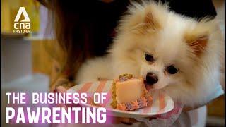 Dog Parties, Cat Hotels & Pet Spas: More Ways To Indulge Your Fur Kid | The Business Of Pawrenting