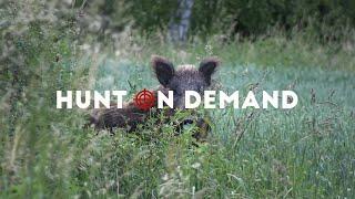 Weizenschweine 8 – die ersten acht Minuten im Weizen –@hunterbrothersofficial Hunt on Demand Trailer