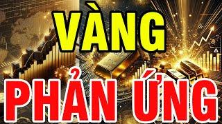 TRADE FOREX || Nhận Định Xu Hướng Giá Vàng Hôm Nay : "CƠ HỘI LÃI" Vàng Tiến Sát 2700$ 1 Ounce Tăng !