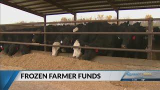 NC farmers concerned on whether they will receive federal payments