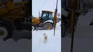 Вот так мы живем в Тамбовской глубинке.Жизнь на даче.