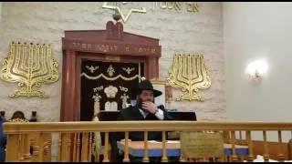 Rabbi Ronen Shaulov Q/A