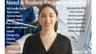 What Is A Rodent Exclusion? How Do You Perform A Rodent Exclusion?