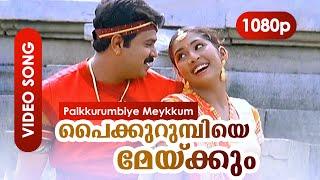 Paikurumbiye Meykkum HD 1080p | Vidyasagar - Gireesh Puthenchery | Dileep, Navya Nair | Gramaphone