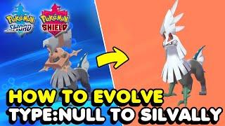 How To Get & Evolve Type: Null In Pokemon Sword & Shield (Unique Pokemon)