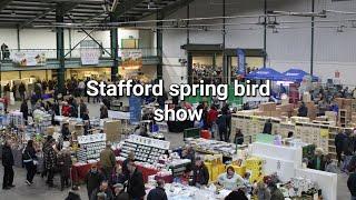 Stafford spring bird show 2024