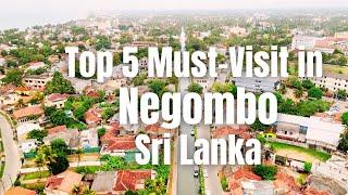 Top 5 Must-Visit Attractions in Negombo, Sri Lanka!!