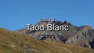 Parco del Gran Paradiso: salita dal Colle del Nivolet/Rifugio Savoia al Taou Blanc - HD 1080