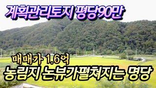 (양평토지매매)NO.22442 계획관리토지 178평부터 세필지 명당입지, 매매가 1억6천,용문역4.8KM, 남향 / 양평다온부동산 010-7124-7807