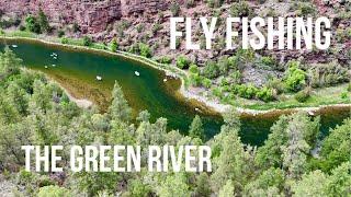 Two Days Fly fishing the Green River | Full Film