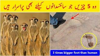 5 Mysterious Things in World in Urdu/Hindi | Dilchasp Maloomat