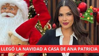 ANA PATRICIA GAMEZ MUESTRA SU ARBOL DE NAVIDAD