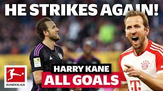 Harry Kane - 23 Goals in Only 19 Games! 