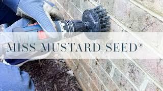 How to remove roots & staining left by ivy without damaging the brick & mortar