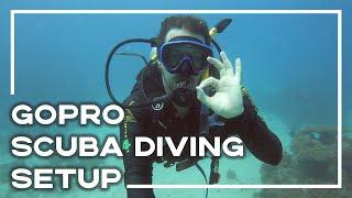 GoPro Hero 9 Scuba Diving Guide - GoPro Hero 12 Compatible  (Gear & Settings) | Stoked For Travel