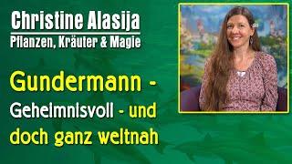 Gundermann - Geheimnisvoll - und doch ganz weltnah | Christine Alasija - Seelenblühen