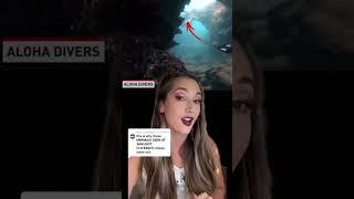 Humans do be scary #mermaid #conspiracytheories #professionalmermaid