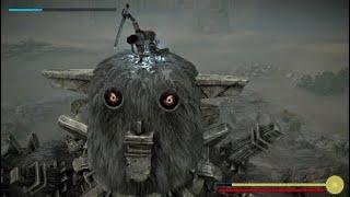 SHADOW OF THE COLOSSUS PS4 | Colosses 1 à 4 |