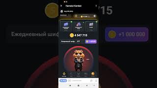 Новый шифр 5 июля #шифр #hamsterkombat #хомяк