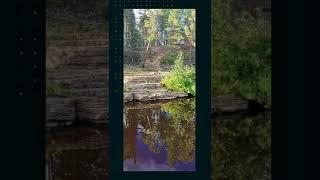 Приятные моменты на природе в Якутске.