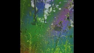Mark McGuire - Get Lost (FULL LP ALBUM - 2011 - Editions Mego - Ambient/Experimental)
