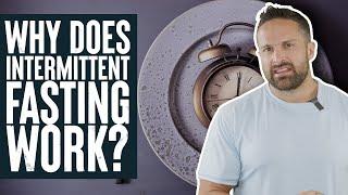 Why Does Intermittent Fasting Work? | Educational Video | Biolayne