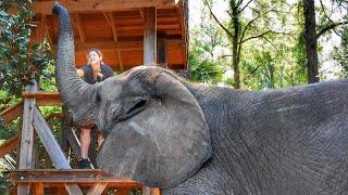 MYRTLE BEACH SAFARI behind the scenes VIP TOUR !