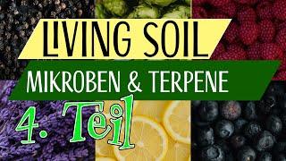 Living Soil | Mikroben und Terpene