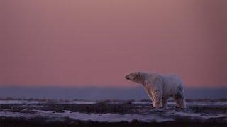 地球の病と、戦え。TVCM 「気候変動」 篇｜タケダ