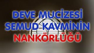 DEVE MUCİZESİ ve SEMUD KAVMİNİN NANKÖRLÜĞÜ (lütfen izledikten sonra beğenir misiniz?)