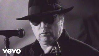 Van Morrison - Days Like This (Official Video)