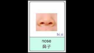 Mandarin Chinese Flashcards - Body Parts 普通话闪卡-身体