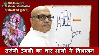 Division of index finger into 4 parts |Tarjani ungali/Index Finger in palmistry| Rahu Lines in Palmistry