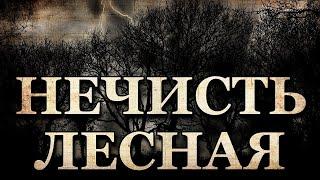 Нечисть Лесная. Страшные истории про Лес (4в1)