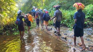 Sabarimala pedda padham || 54 km Trekking || Deep Forest || Dangerous || Vikram Vihari